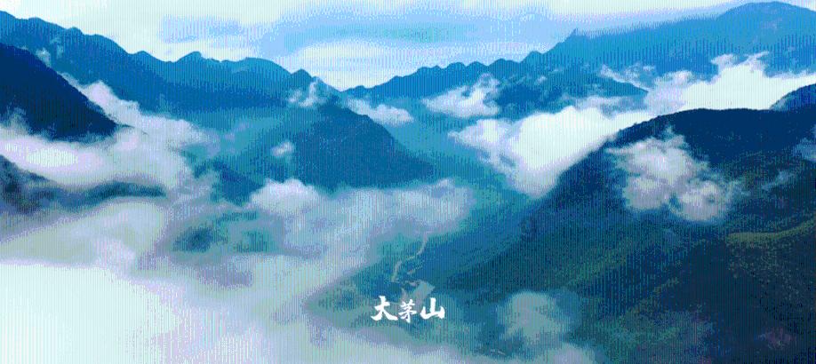 致出租车驾驶员一封信